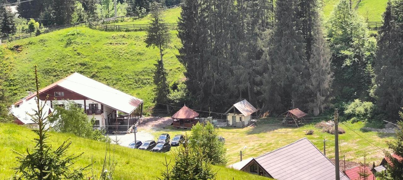 Pensiunea Trei Brazi อาริเอเชนิ ภายนอก รูปภาพ