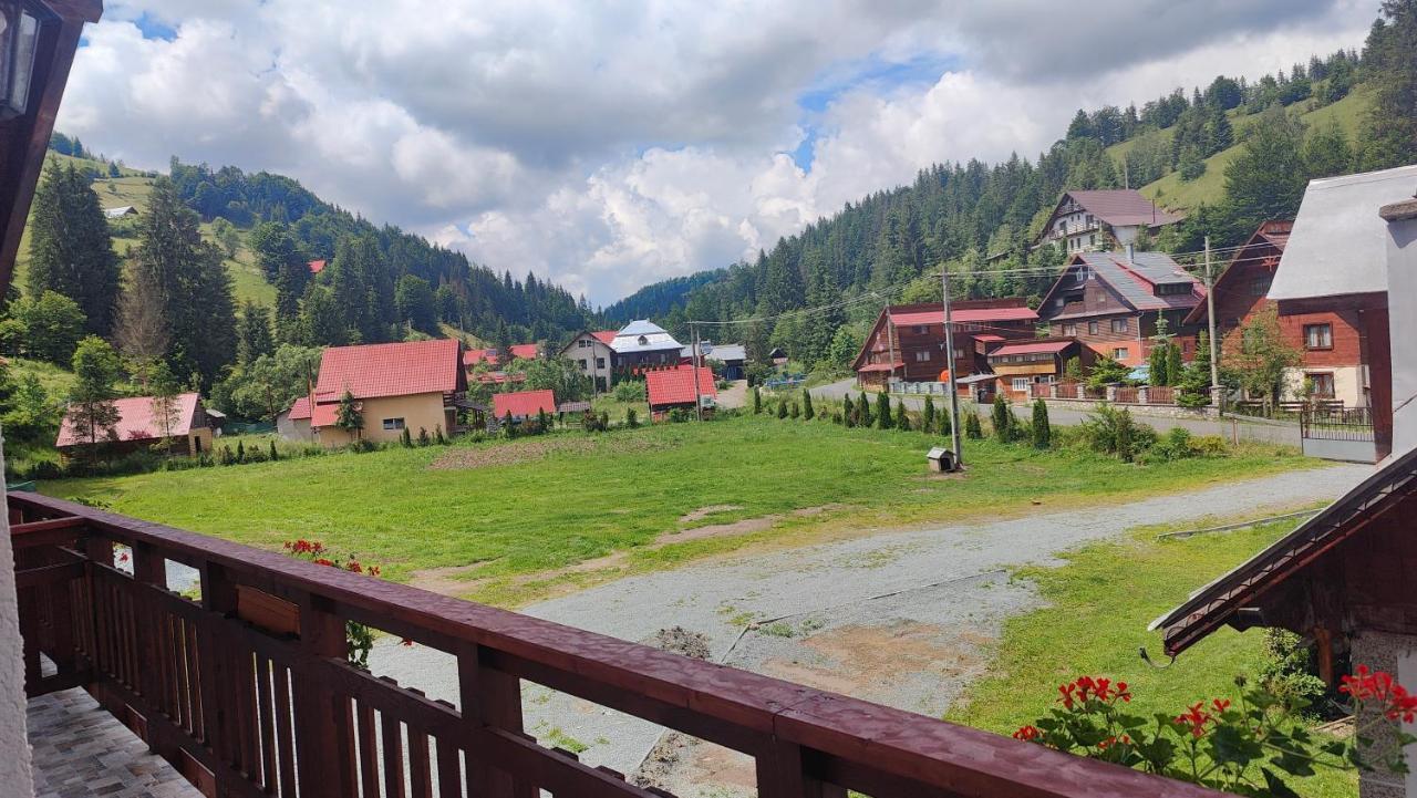 Pensiunea Trei Brazi อาริเอเชนิ ภายนอก รูปภาพ