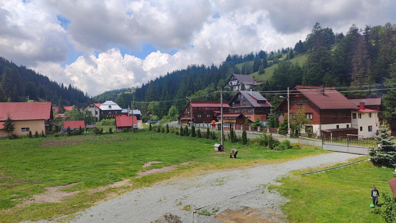 Pensiunea Trei Brazi อาริเอเชนิ ภายนอก รูปภาพ